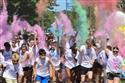 Color_Run_pic_16-16